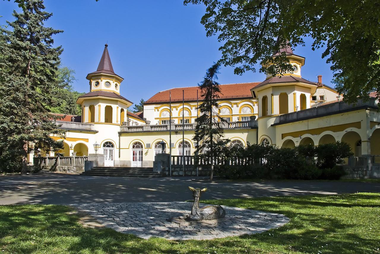 Ferienwohnung Apartman A9 Lux Banja Koviljača Exterior foto